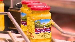 Spring Gully Foods enters voluntary administration.